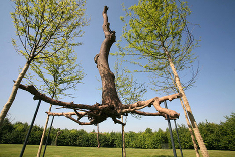 Giuseppe Penone: Elevation | Art Installations, Sculpture, Contemporary Art | Scoop.it