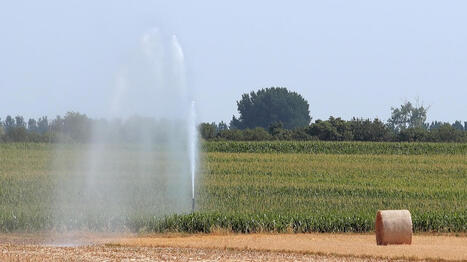 Ressources en eau&nbsp;: sept bassins versants en &laquo;&nbsp;crise&nbsp;&raquo; en Loire-Atlantique - Ouest France [Abonn&eacute;s] | Agriculture en Pays de la Loire | Scoop.it