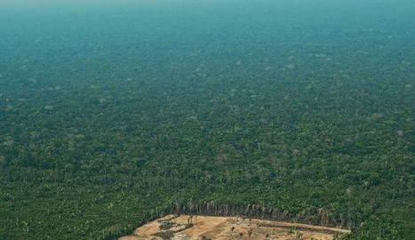 Les forêts tropicales détruites en 2018 font la superficie du Nicaragua - L'Express | Biodiversité | Scoop.it