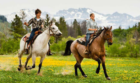 வெற்றிகரமான திருமண வாழ்க்கை ரகசியத்தை உணர்த்தும் கதை.....! 