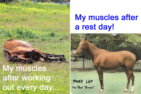 Rest and recovery days are important. | Physical and Mental Health - Exercise, Fitness and Activity | Scoop.it