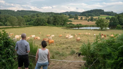 [INP-AgroToulouse] Projet AgriDinamo : de « nouveaux » types d’actifs agricoles, pour quels projets ? | InMédias | Scoop.it