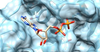 Antibiorésistance : vers des médicaments pour désarmer les bactéries | Life Sciences Université Paris-Saclay | Scoop.it