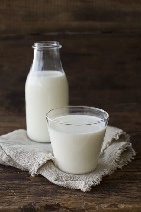 Consommation de lait de vache : une "tendance à la baisse" | Lait de Normandie... et d'ailleurs | Scoop.it