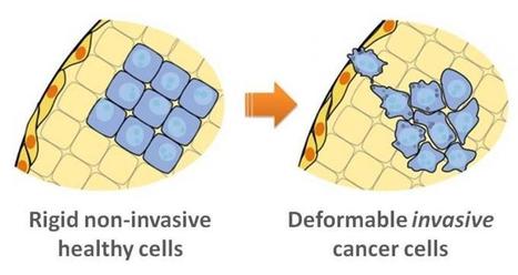 New technique diagnoses cancer from bodily fluids | Harvard School of Engineering and Applied Sciences | 21st Century Innovative Technologies and Developments as also discoveries, curiosity ( insolite)... | Scoop.it