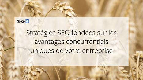 Strat&eacute;gies SEO fond&eacute;es sur les avantages concurrentiels uniques de votre entreprise - Blog Scoop.it France | Mon site web : Scoop.it | Scoop.it