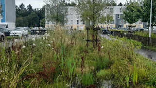 Où et comment désimperméabiliser les sols urbains en priorité ? Le accompagne La Roche-sur-Yon pour définir sa stratégie | Veille territoriale AURH | Scoop.it