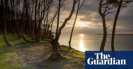Poole harbour oil spill washes up on wildlife haven Brownsea Island | Oil spills | The Guardian | Agents of Behemoth | Scoop.it