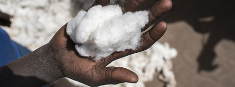 Google to develop tool for responsible textile sourcing | Sustainable Procurement News | Scoop.it