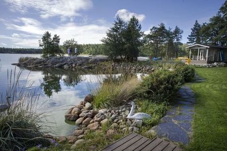 Vastuuministeri Lintilän ”irtiotto” ärsyttää hallituksessa | 1Uutiset - Lukemisen tähden | Scoop.it