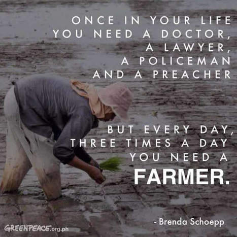 Every day you need a farmer! | SRI Global News: Nov. 2024 - Jan. 2025  *SRI-Rice  --     System of Rice Intensification | Scoop.it