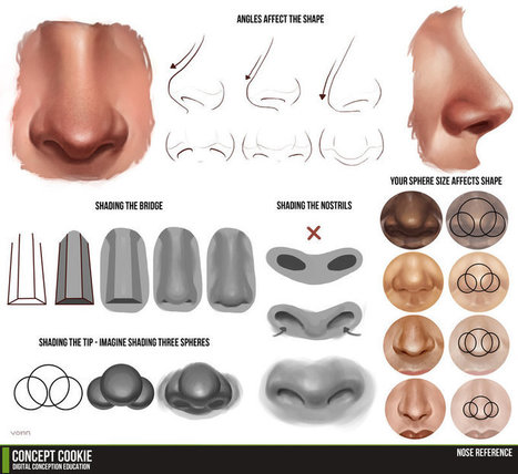 A Nose Drawing Reference for Drawing Perfect Noses | Drawing References and Resources | Scoop.it