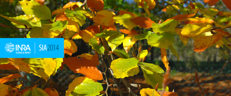 INRA - Dossier : Quand le r&eacute;chauffement climatique perturbe les saisons du vivant | Biodiversit&eacute; | Scoop.it