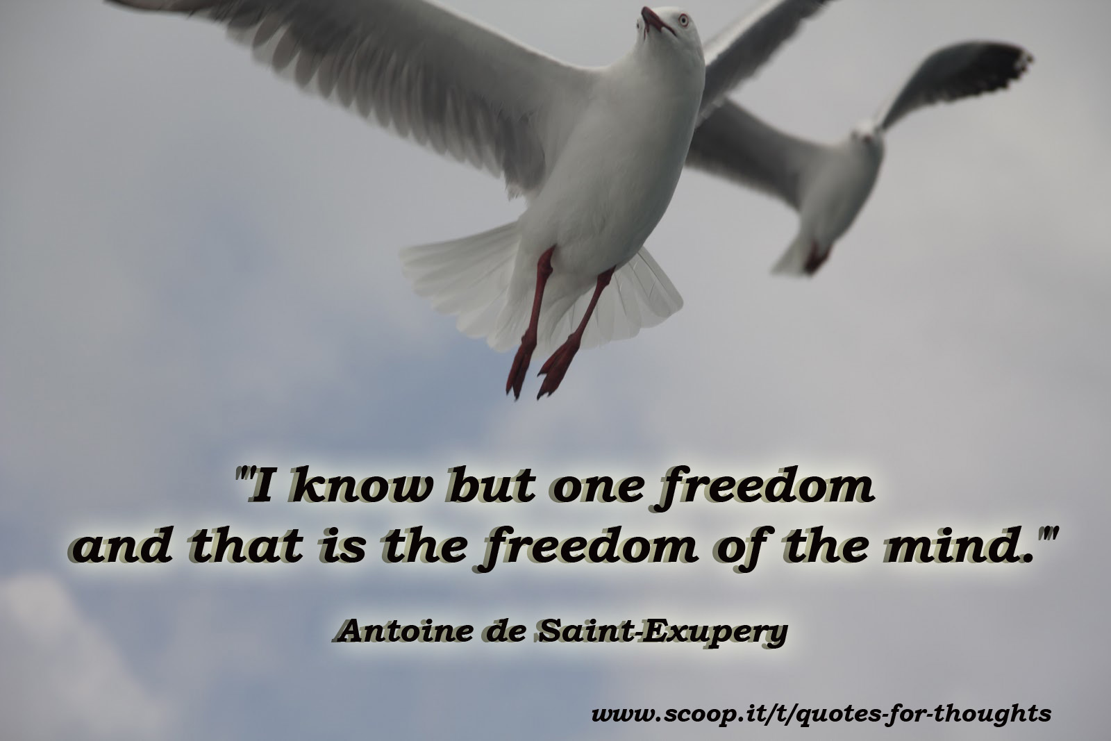 Freedom of the Mind Quote for Thought Scoo...