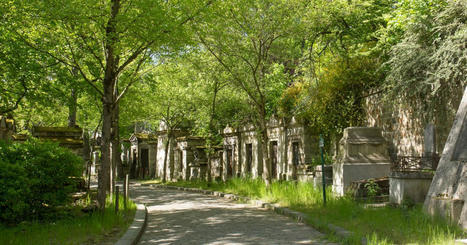 La belle nature du cimetière du Père Lachaise, avec Bertrand Beyern et Jean-Louis Fournier | Paris durable | Scoop.it