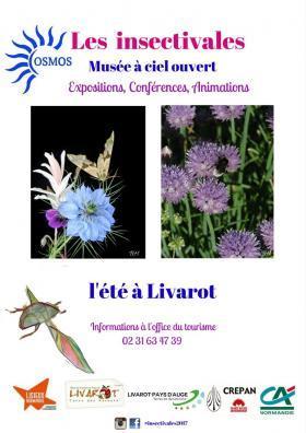Festival les Insectivales à Livarot du 1er juillet au 31 août | Variétés entomologiques | Scoop.it