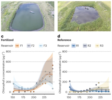 World&rsquo;s predominant nitrogen fertilizer induces extreme eutrophication of surface waters in central North America | Nwt | RMH | Scoop.it