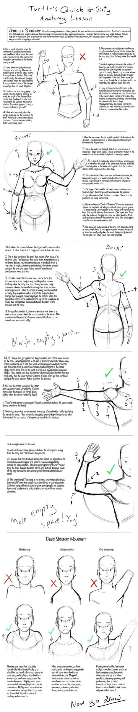 Anatomy Drawing Lesson | Drawing References and Resources | Scoop.it