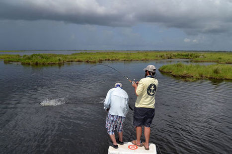 Louisiana's trespass laws lock anglers out of most coastal marshes | Coastal Restoration | Scoop.it