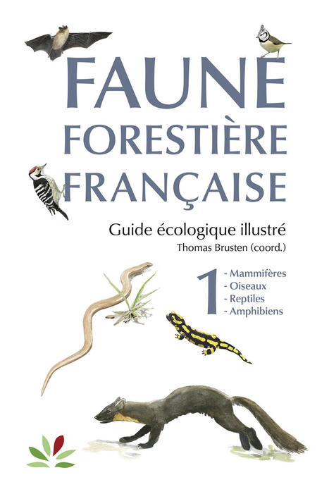 Faune forestière française - Tome 1 : Mammifères, oiseaux, reptiles, amphibiens - Guide écologique illustré | Biodiversité | Scoop.it