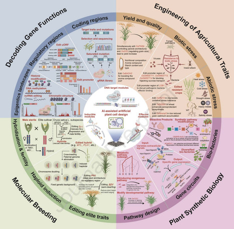 Programmable genome engineering and gene modifications for plant biodesign | pcm | RMH | Scoop.it