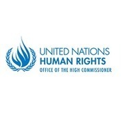 OHCHR | Racial equity and equality must guide state action in COVID-19 response, say UN experts | Race and diversity | Scoop.it