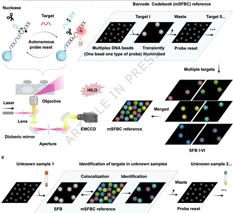 Spatial fluorescence barcode by transiently luminescent DNA beads | Ncm | RMH | Scoop.it