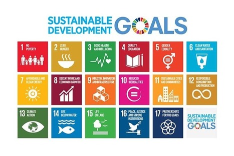 The Data Revolution and the Sustainable Development Goals | Government Innovators Network | Global Governance, Legal and Constitutional Affairs | Scoop.it