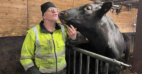 Ukrainan lennokki-iskut Ven&auml;j&auml;lle n&auml;kyv&auml;t ja kuuluvat Suomen it&auml;rajalla &ndash; asukkaat her&auml;siv&auml;t y&ouml;ll&auml; h&auml;vitt&auml;jien &auml;&auml;niin | Kotimaa | Yle | 1Uutiset - Lukemisen t&auml;hden | Scoop.it