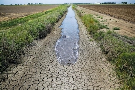 IntelliFlux : recycler les eaux us&eacute;es pour l&rsquo;irrigation | DURABILITES | Scoop.it