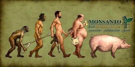 Vous Souhaitez Éviter les Produits Monsanto ? Voici La Liste des Marques à Connaître pour Aider Son Prochain | Home | Scoop.it