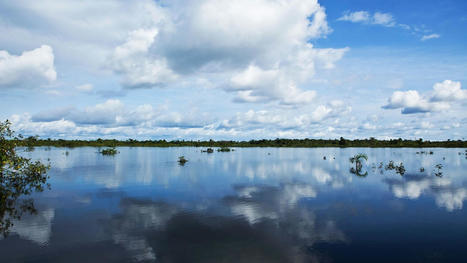 Where Does the Amazon River Begin? | RAINFOREST EXPLORER | Scoop.it