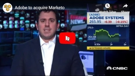 Adobe buys Marketo: Who wins who to watch | Markethive | Scoop.it