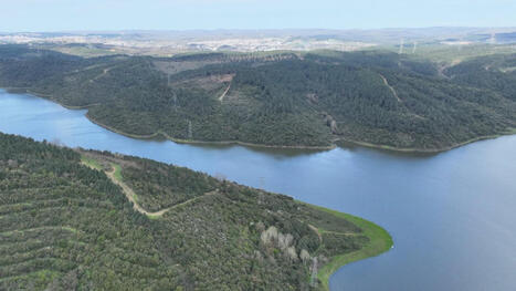 TURKIYE : Istanbul dam levels fall below 40% for third time in decade | CIHEAM Press Review | Scoop.it