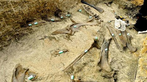 The Gig Economy Is Real If You Know Where to Look | Peer2Politics | Scoop.it