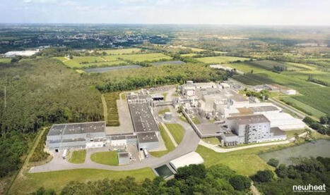 Newheat va construire pour Agrial la plus grande centrale solaire thermique de France | rev3 - la 3&egrave;me r&eacute;volution industrielle en Hauts-de-France | Scoop.it