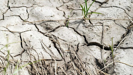 Sécheresse : pourquoi les nappes phréatiques ne se rechargent-elles pas totalement lors des épisodes pluvieux ? | Perte Infrastructures-Fournisseur | Scoop.it