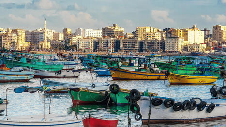 Fisheries data collection in EGYPT moves to ports | CIHEAM Press Review | Scoop.it