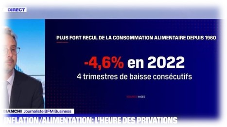 Insee : La consommation alimentaire a baissé de 4,6 % en 2022 | Lait de Normandie... et d'ailleurs | Scoop.it