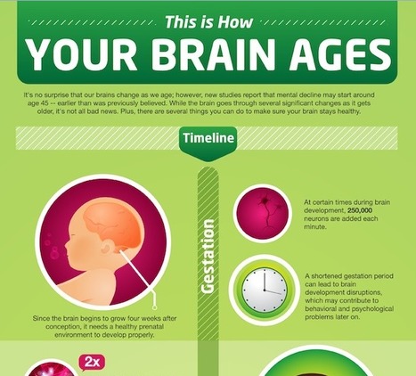 How the Brain Ages and How to Stop It [Infographic] | Eclectic Technology | Scoop.it