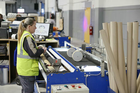 Aides aux entreprises, la Région sur tous les fronts | Métiers, emplois et formations dans la filière cuir | Scoop.it