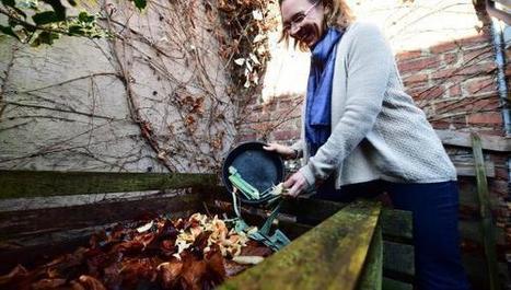 Réchauffement climatique : des familles relèvent le défi | Vers la transition des territoires ! | Scoop.it