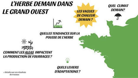 Impacts du climat sur les fourrages dans le Grand Ouest | Lait de Normandie... et d'ailleurs | Scoop.it