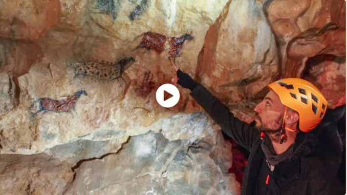 INSOLITE. Plongée dans les entrailles de la plus grande grotte d'Alsace, "nous avons retrouvé des restes de loups et d’ours des cavernes" | Thématique Humanisme rhénan | Scoop.it