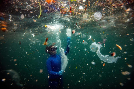 Plastics Increase Acidity of the World’s Oceans, Study Finds - EcoWatch.com | Agents of Behemoth | Scoop.it