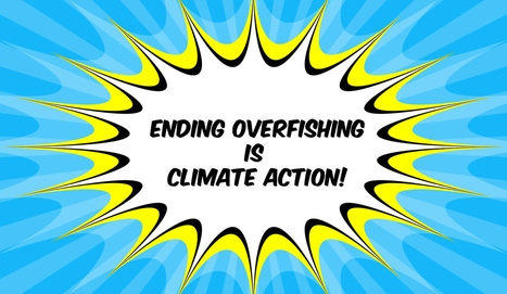 COP25: Call for governments to end overfishing to counter climate crisis – | HALIEUTIQUE MER ET LITTORAL | Scoop.it