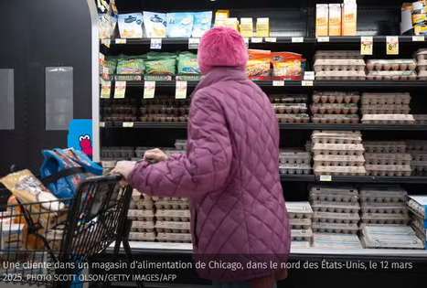 La pénurie d’œufs aux États-Unis peut-elle sauver l’Europe d’une guerre commerciale ? | AGROALIMENTAIRE | Scoop.it
