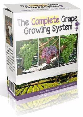 The Complete Grape Growing System PDF Ebook Download | E-Books & Books (Pdf Free Download) | Scoop.it