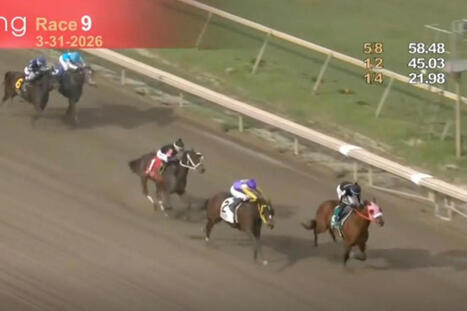 Horse racing Jockey under investigation after suspicious ride at Parx Racing | Racing Regulatory Issues | Scoop.it