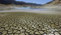 Cambio clim&aacute;tico: animales terrestres en peligro | Educaci&oacute;n, TIC y ecolog&iacute;a | Scoop.it